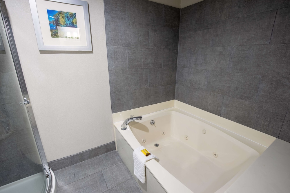 Best Western Plus Vermilion River Inn & Suites - photo 27