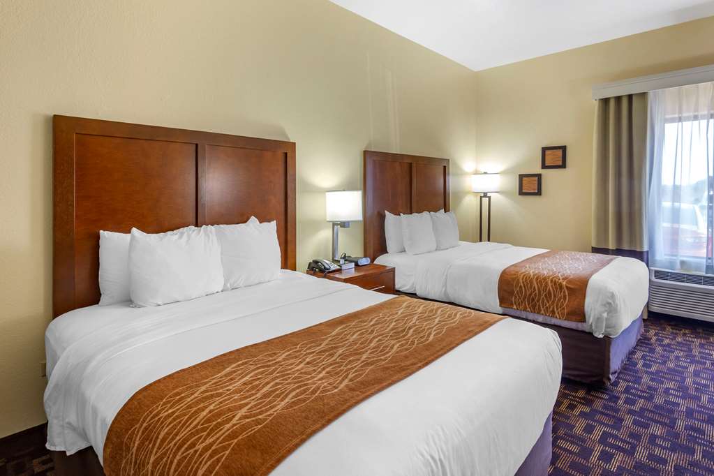 Comfort Inn & Suites North Aurora Naperville - photo 13