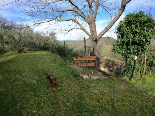 Casa degli Ulivi — Civitella Del Tronto — photo 5