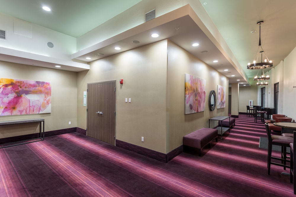 Holiday Inn San Marcos Convention CTR Area by IHG - photo 47