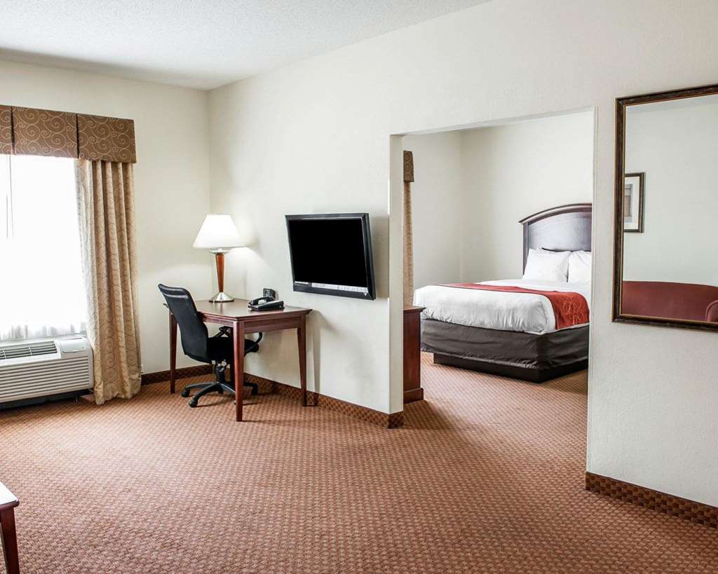 Comfort Suites near Indianapolis Airport - photo 17