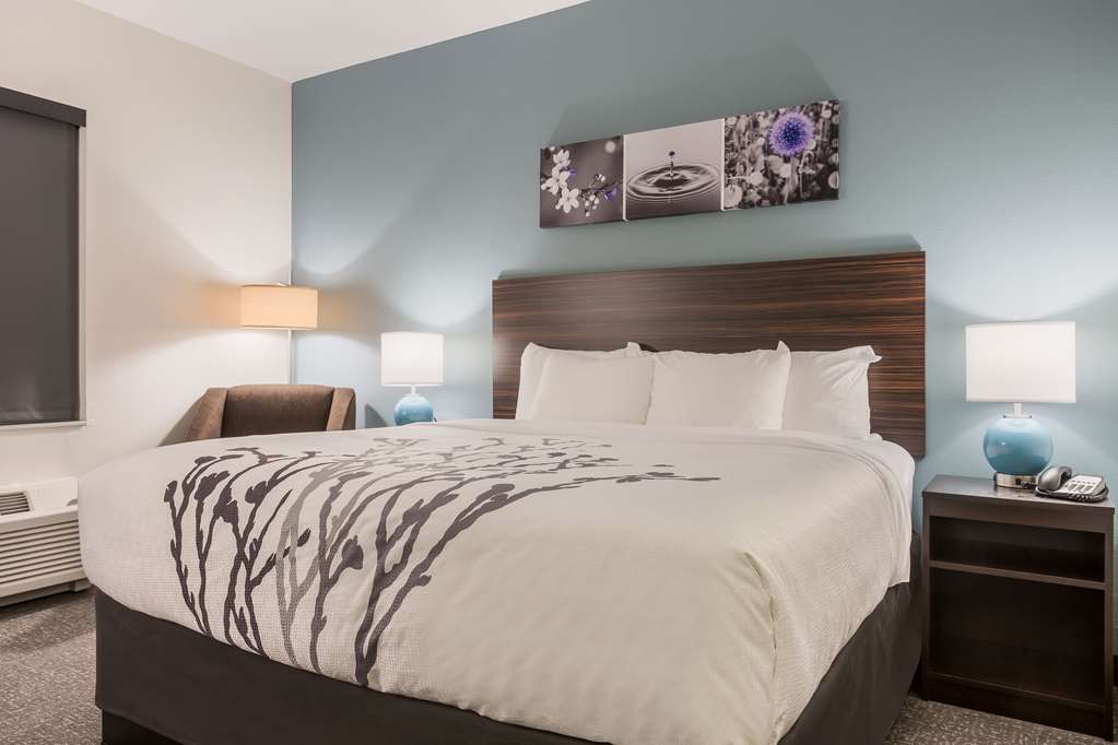 Sleep Inn & Suites Webb City - photo 22