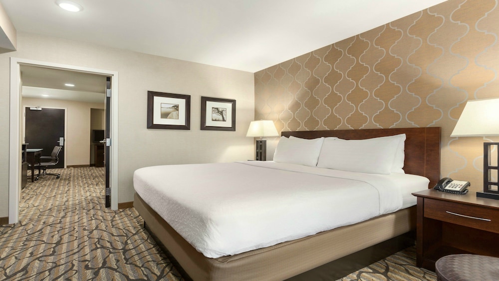 Holiday Inn Hotel & Suites Williamsburg Historic Gateway by IHG - photo 6