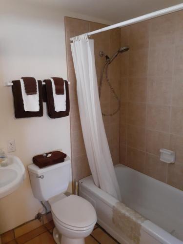 Stagecoach Suites - photo 10