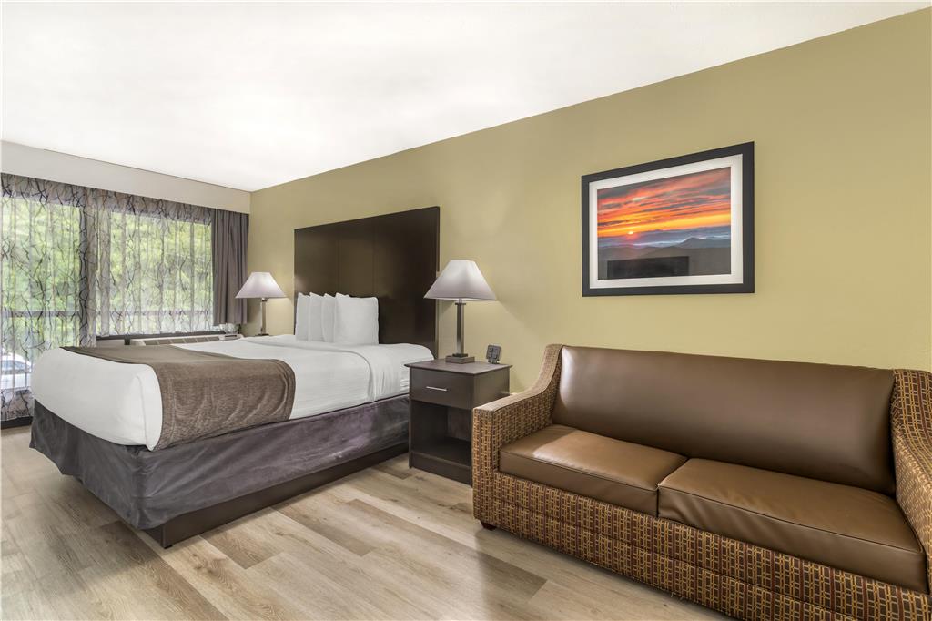 Best Western Asheville Blue Ridge Parkway - photo 3