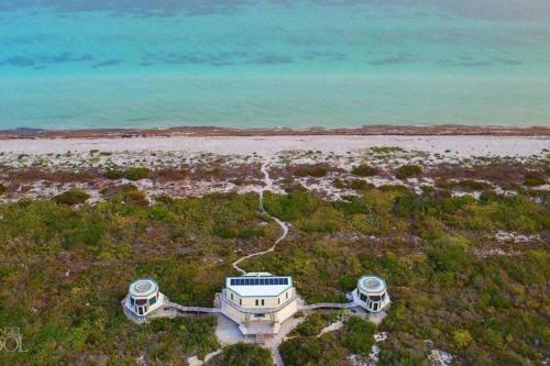 Search for Pure Nirvana Blue in Rio Lagartos, Mexico