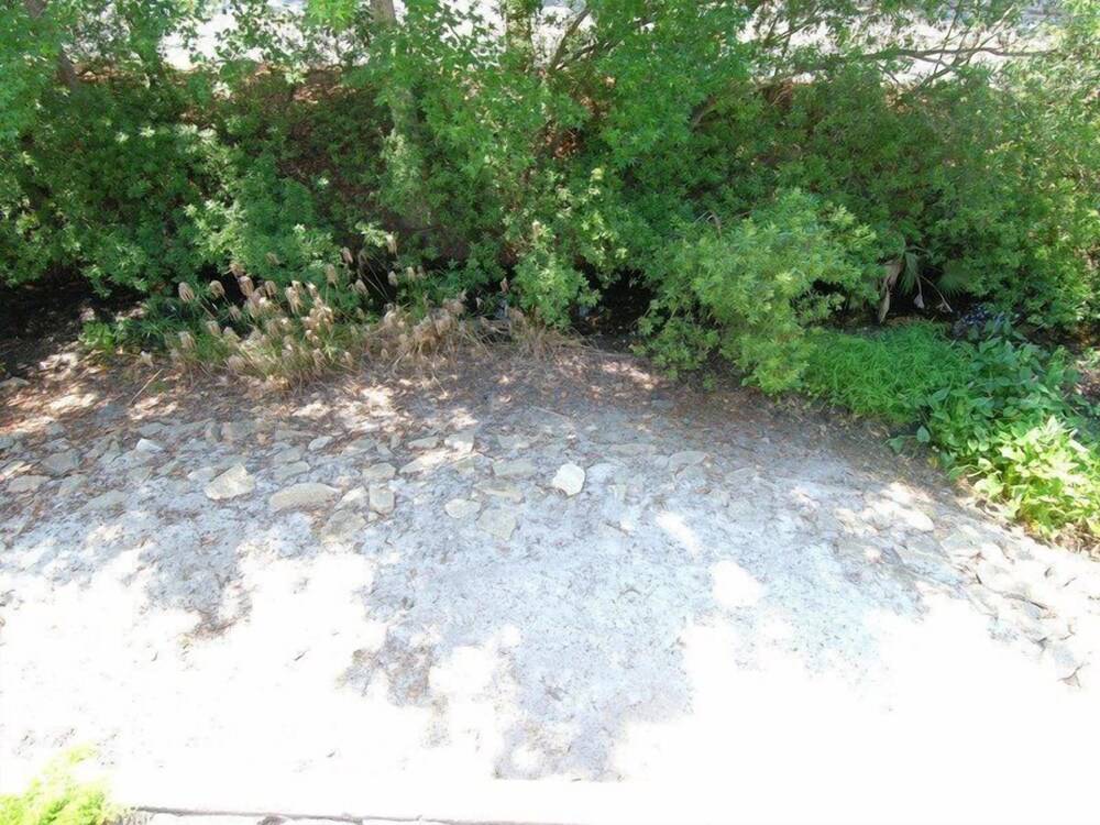 Tennismaster 1104 - photo 16
