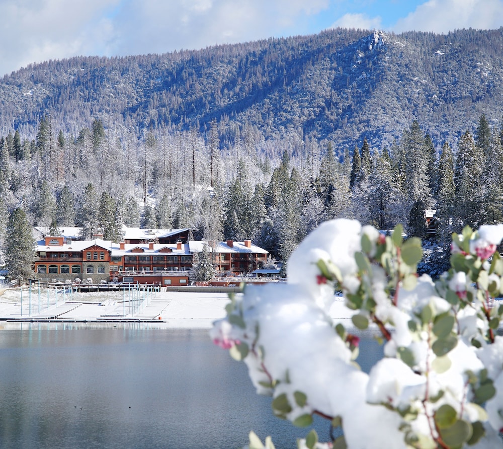 The Pines Resort - photo 135