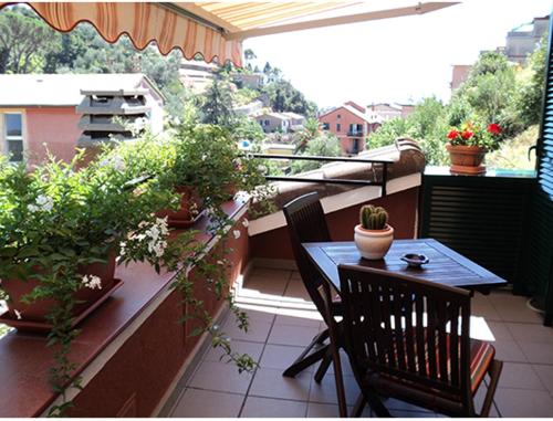Marvit Affittacamere - last minute hotel in Monterosso Al Mare
