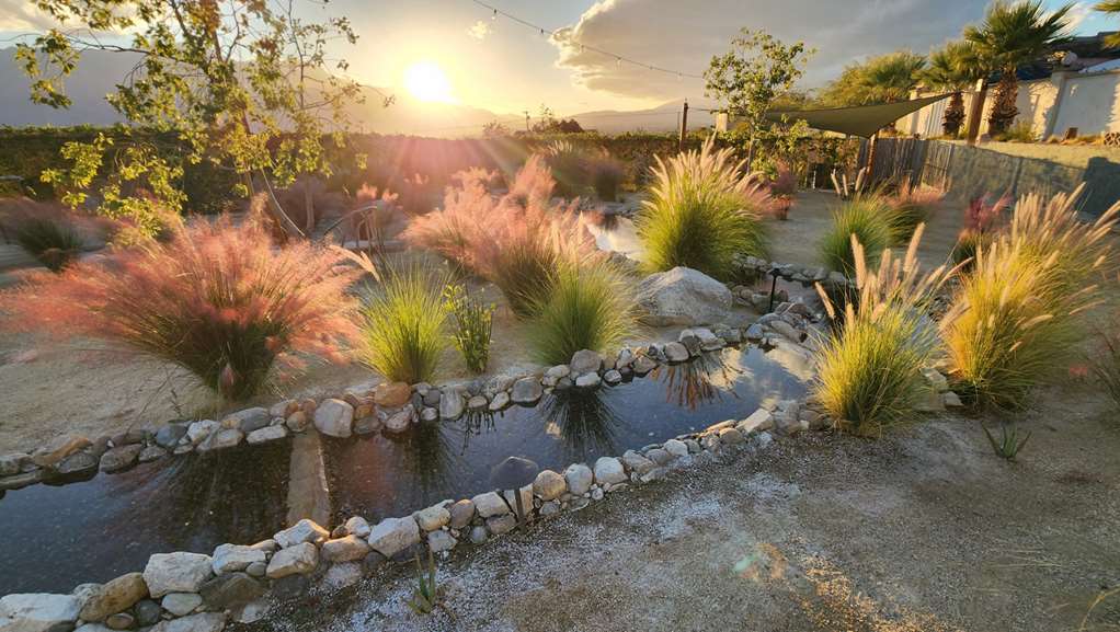 Azure Palm Hot Springs - photo 32