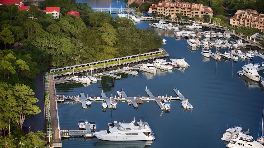 Disney's Hilton Head Island Resort - photo 50