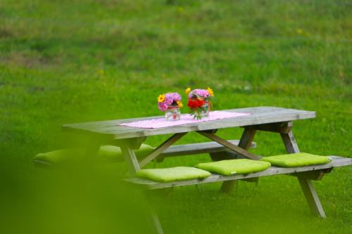 Heidehof Pension B & B — Emmerich — photo 5