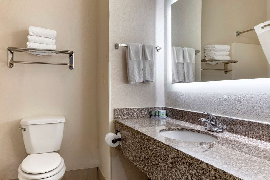 Best Western Palo Duro Canyon Inn & Suites - photo 12