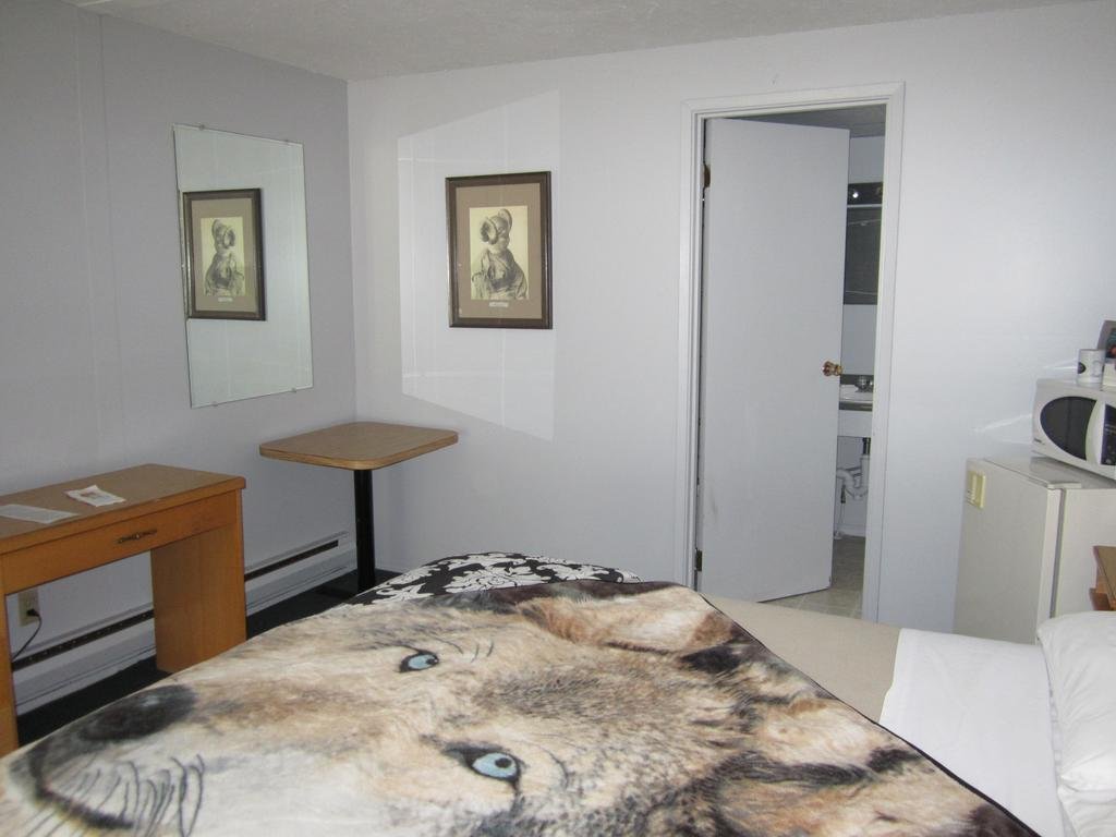 The Mighty Fraser Motel — hotel in Merritt