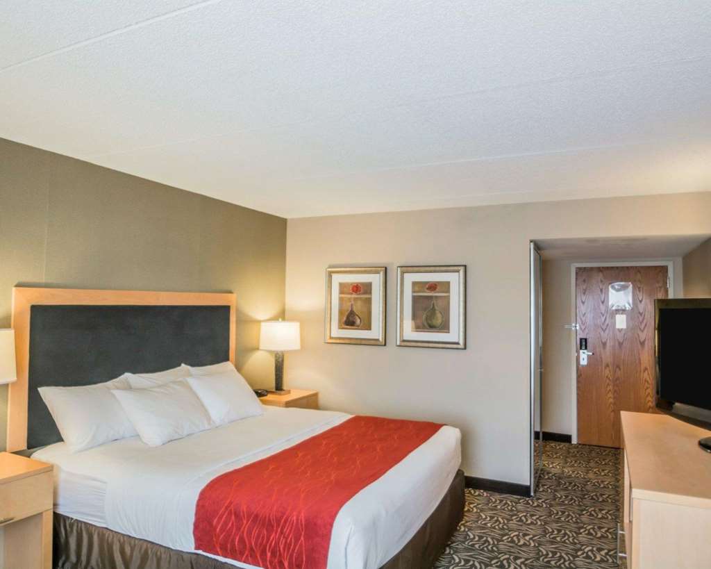 Comfort Inn NYS Fairgrounds - photo 10