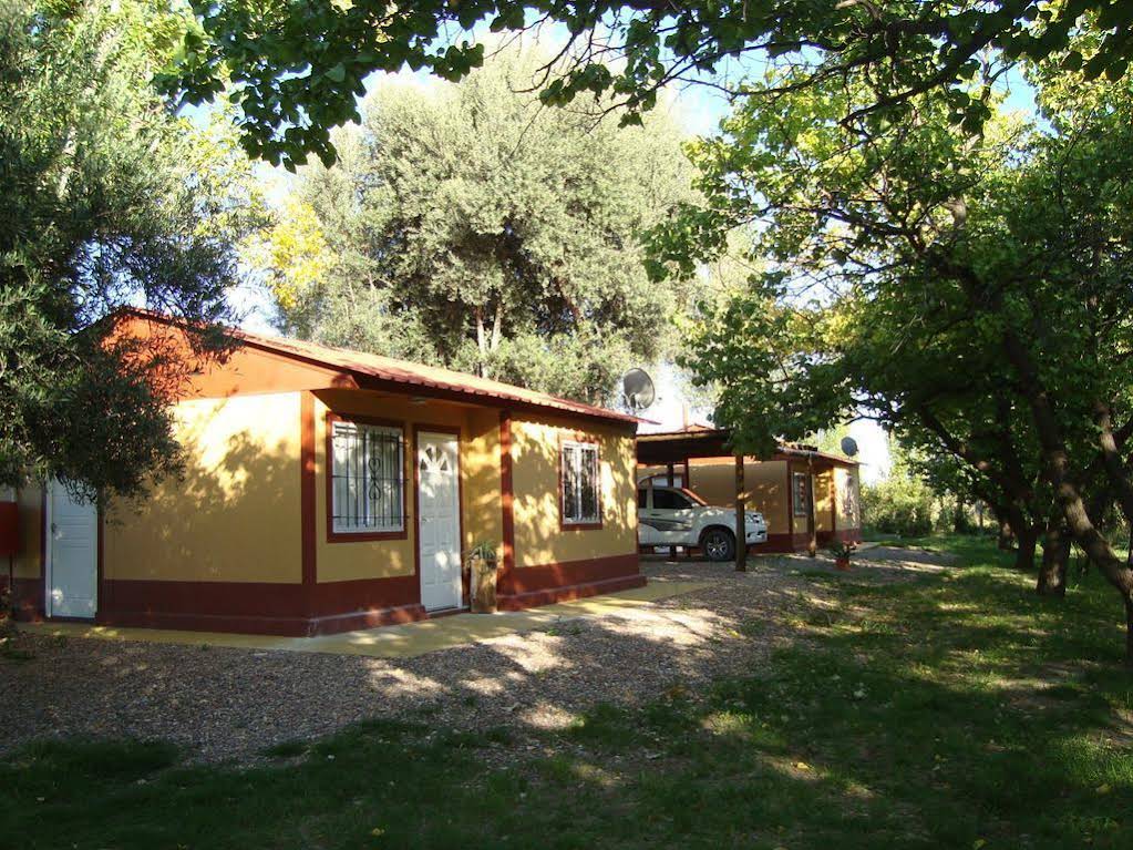 Entorno de Bosque in San Rafael, Argentina