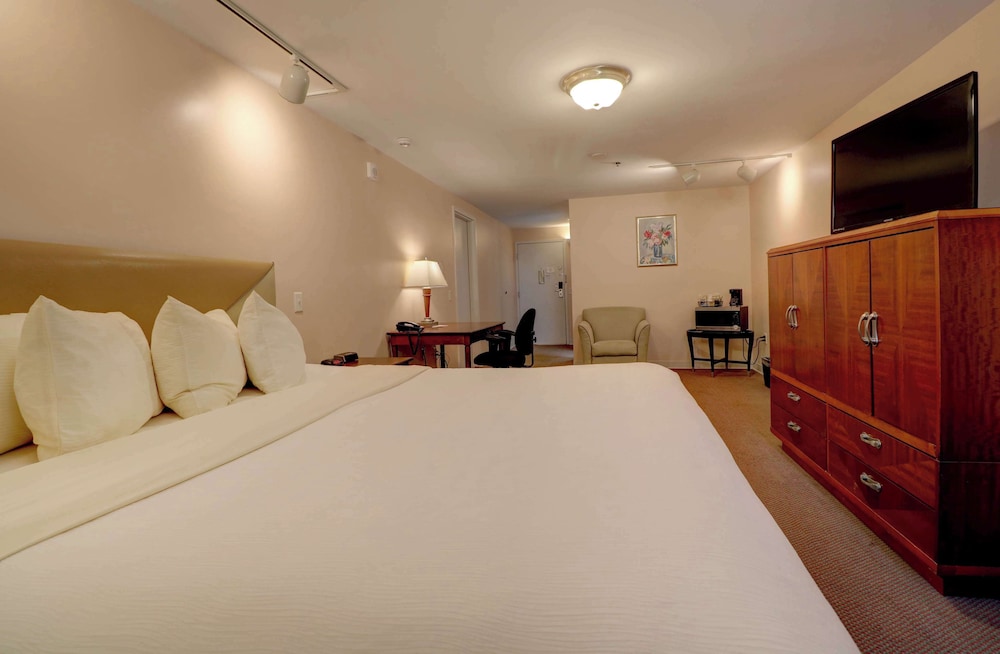 Senator Inn & Spa - photo 24