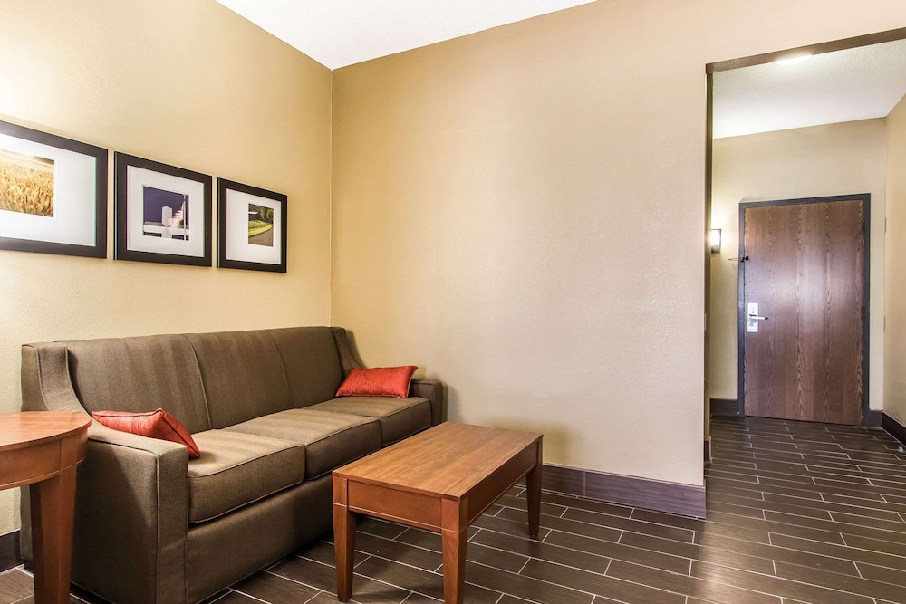 Comfort Suites Effingham Central - photo 10
