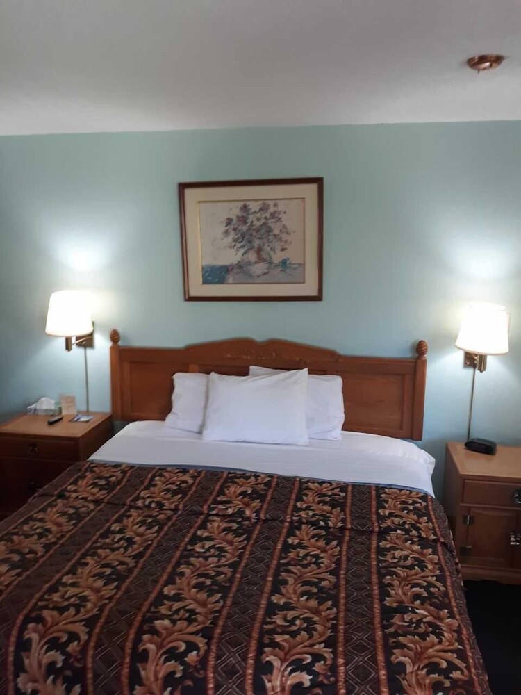 99 Palms Inn & Suites - photo 12