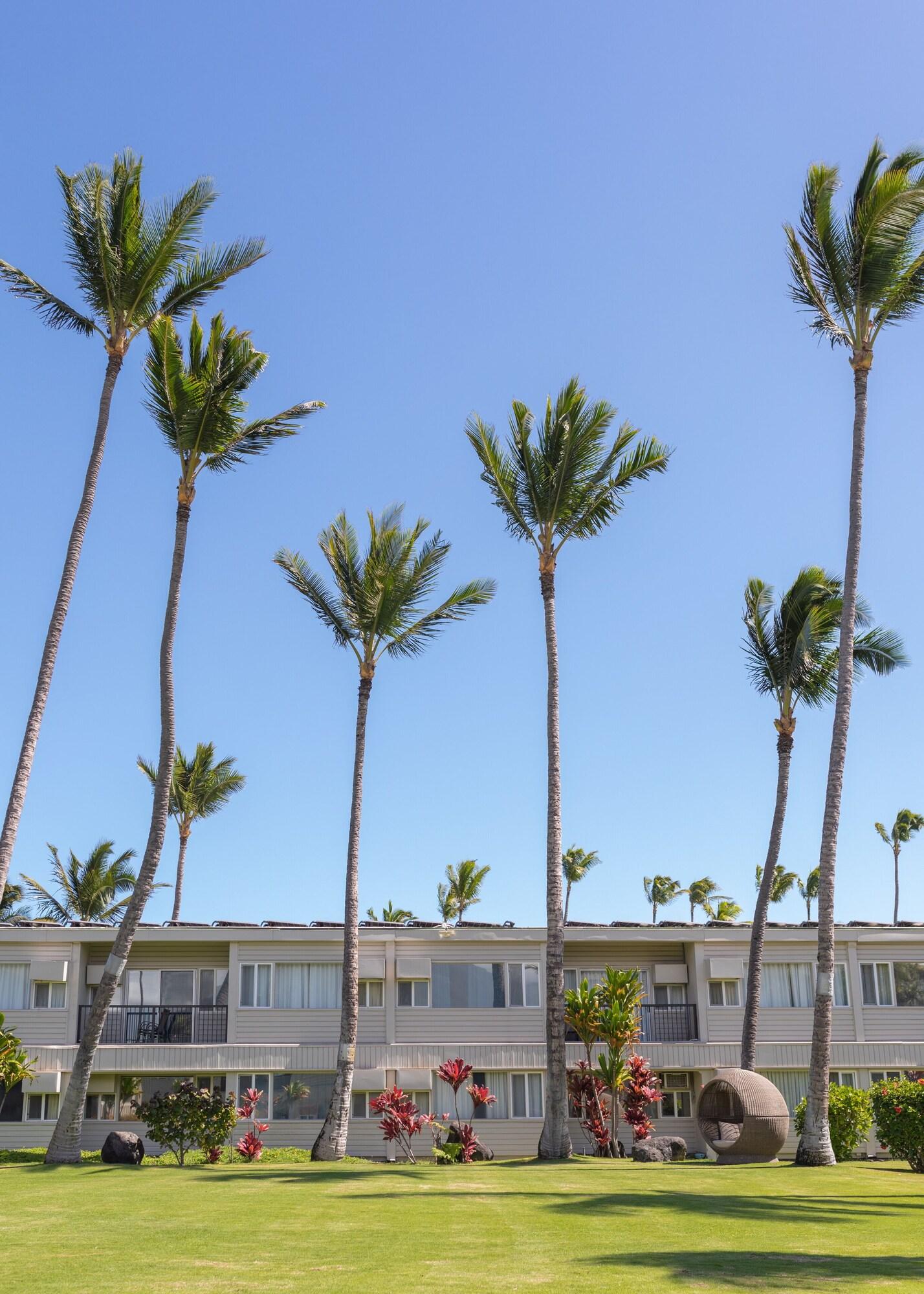 Maui Beach Hotel - photo 16