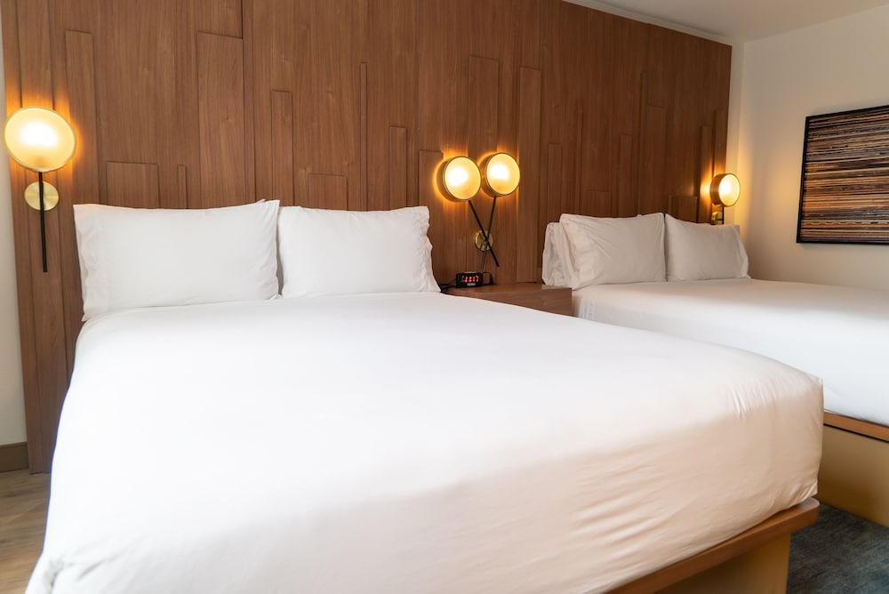 Hotel Indigo Detroit Downtown by IHG - photo 9