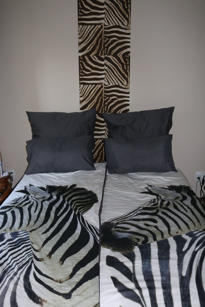 Ijaba Lodge at Buschfeld Park — Outjo — photo 4