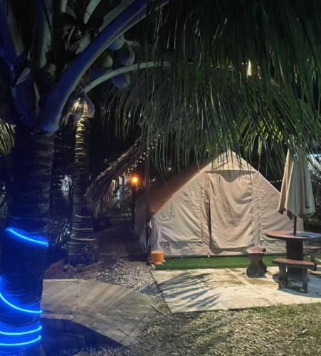 TK Coconut Camping — Kuala Selangor — photo 5