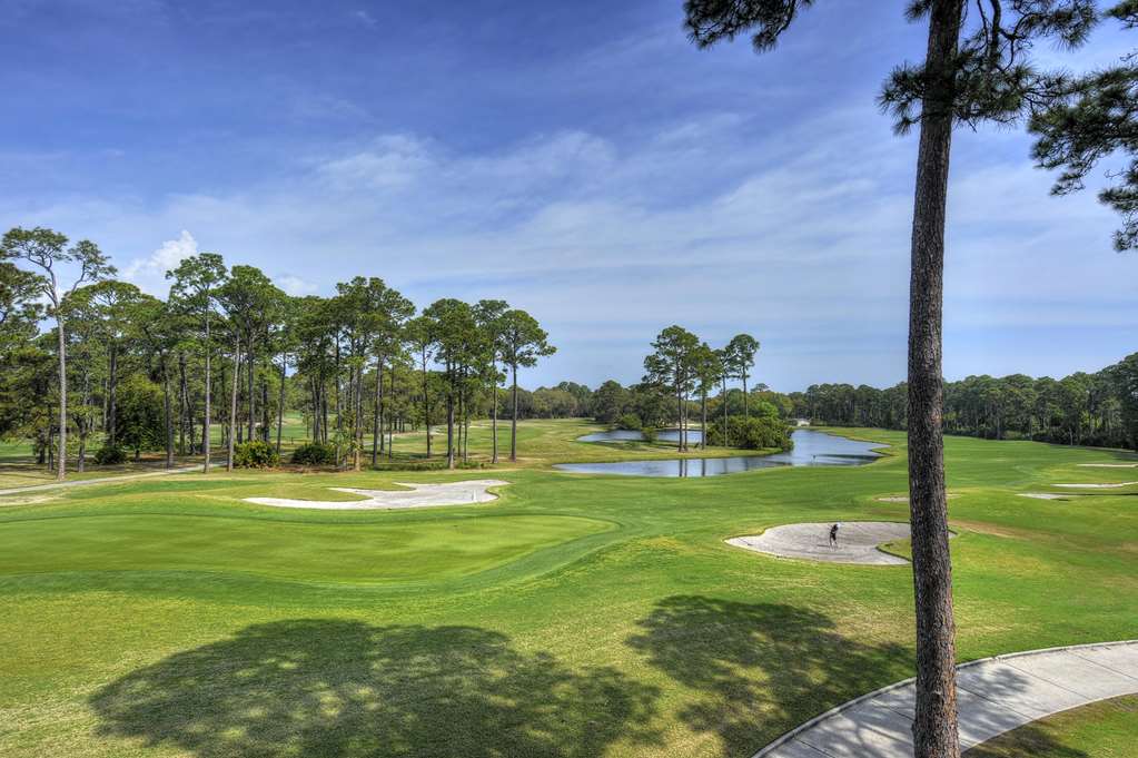 Jekyll Island Club Resort - photo 48