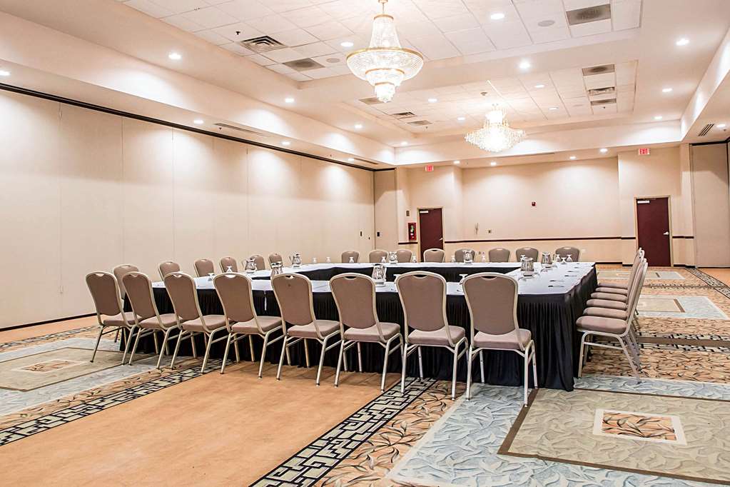Clarion Inn Elmhurst Oak Brook near I 88 I 290 I 294 - photo 42