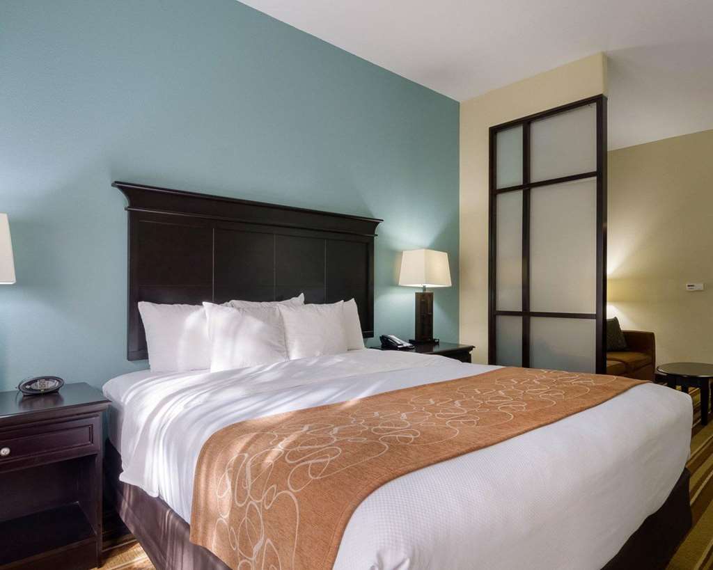 Comfort Suites Topeka Northwest - photo 16