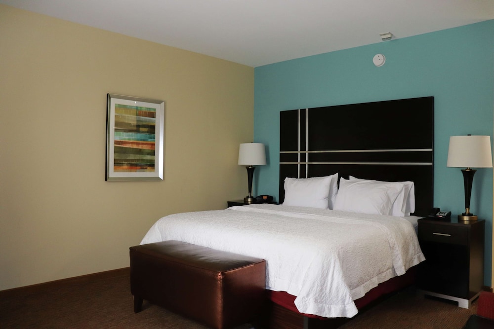 Hampton Inn Austin Oak Hill - photo 14