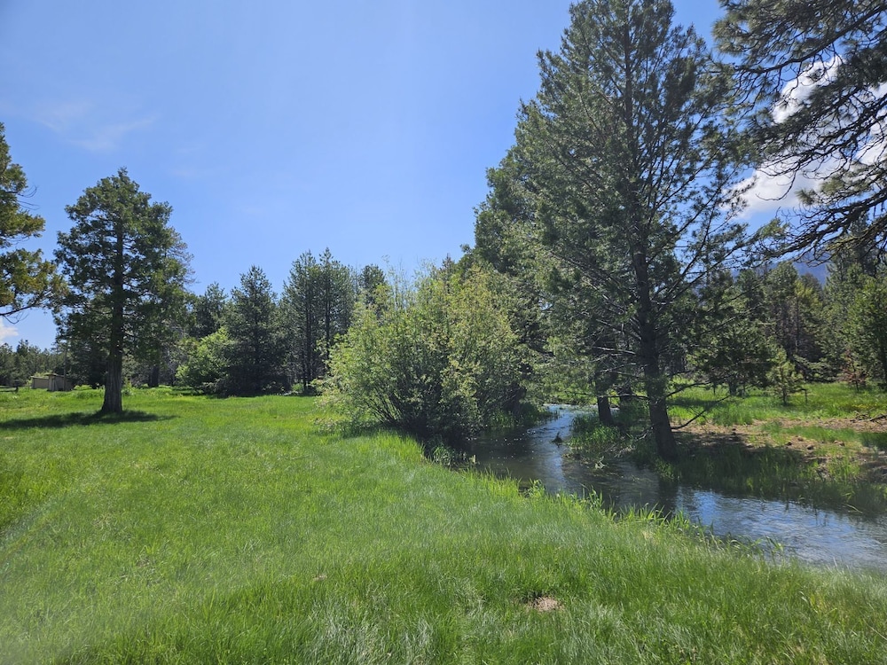 The Black Forest Lodge - photo 25