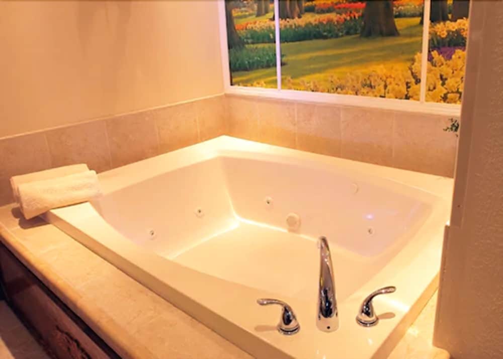 Sybaris Pool Suites Indianapolis - photo 35