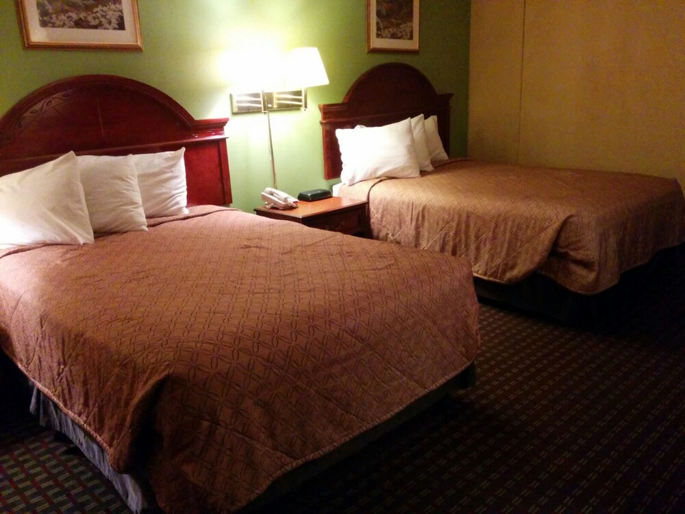 Selma Hotel - photo 12