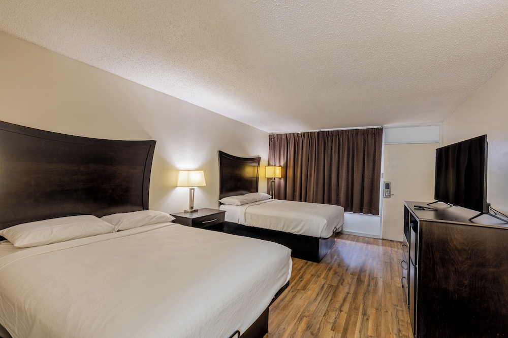 Executive Inn Beeville US 181 By Capital O - photo 3