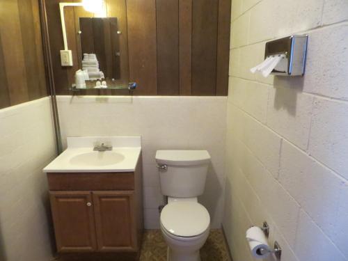 Alamo Inn - photo 23