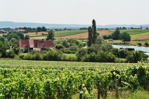 Camping Moulin De Collonge — 4-Star Luxury Hotel in Buxy, France