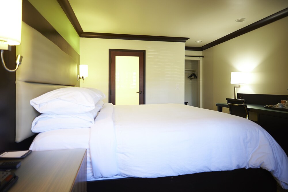 Hotel Azura - photo 20