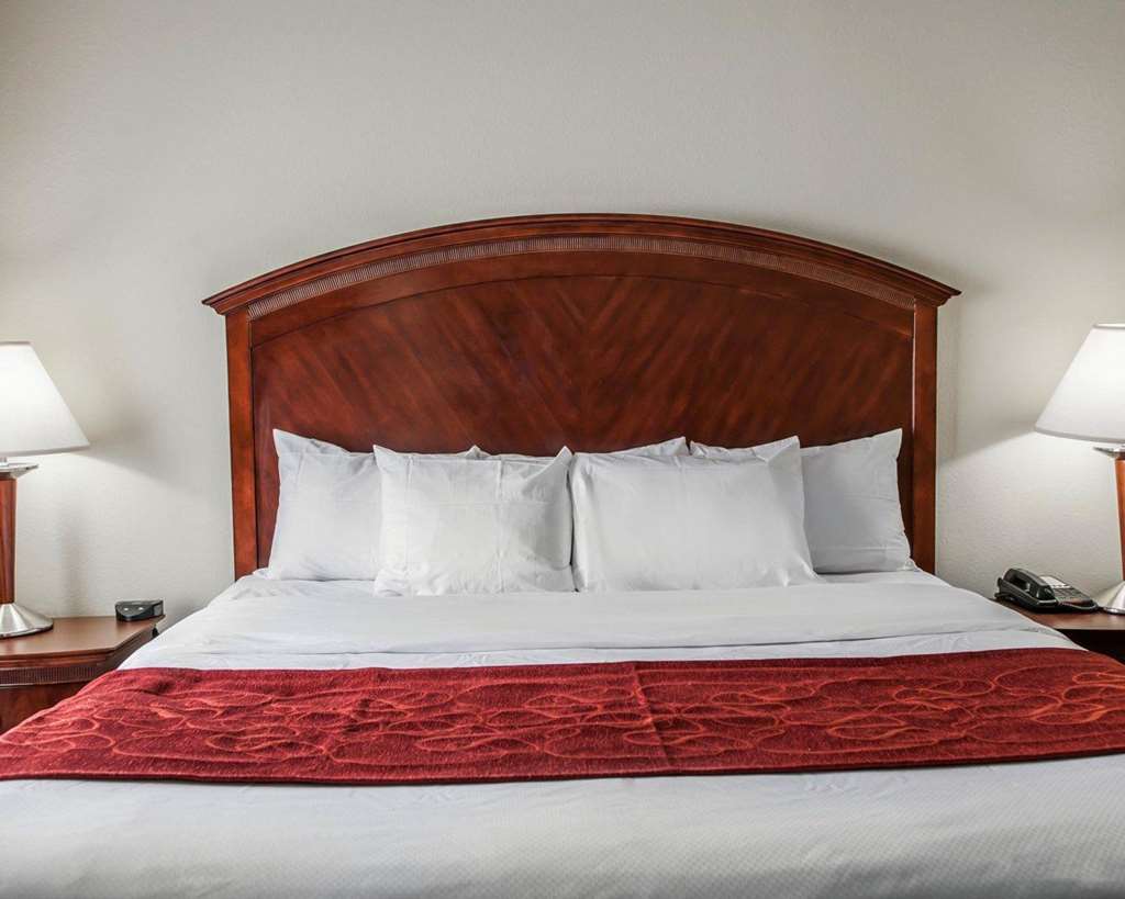 Comfort Suites near Indianapolis Airport - photo 10