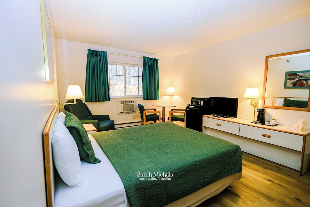 Mountain Host Motor Inn - photo 22