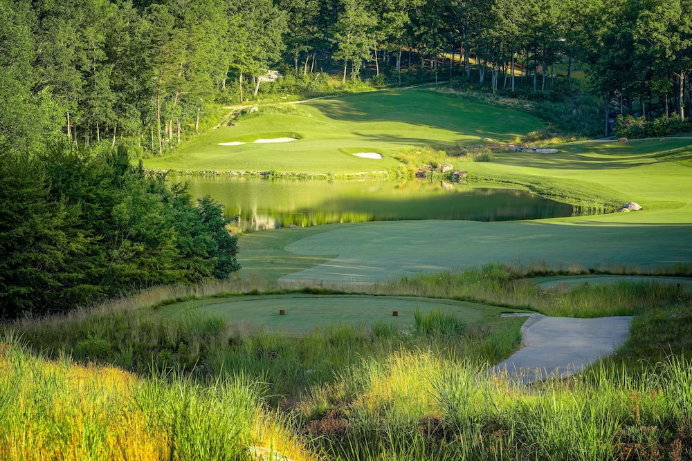 Cloudland at McLemore Resort Lookout Mountain Curio by Hilton - photo 114