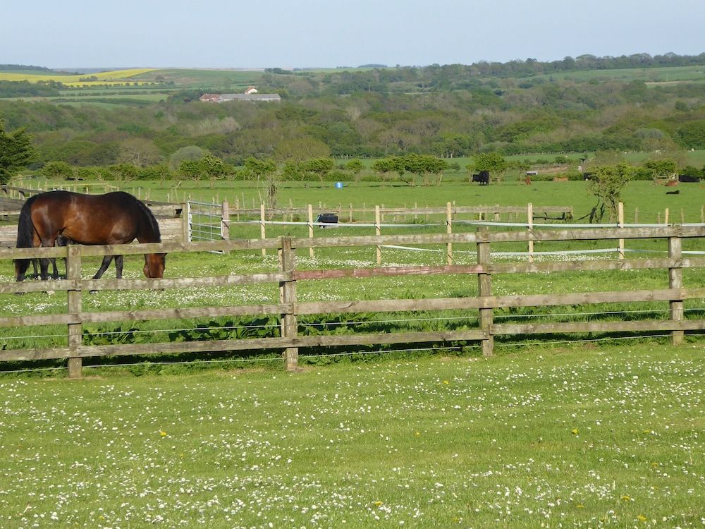 Holly Edge in Saltburn-By-The-Sea, United Kingdom