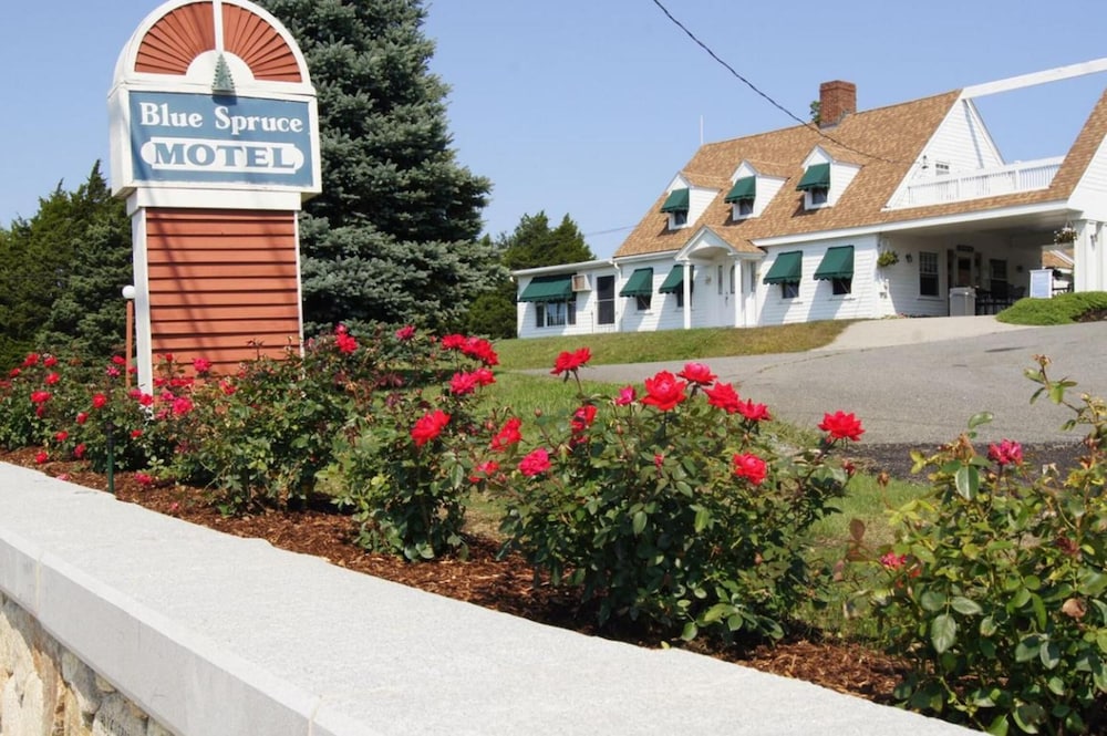 Blue Spruce Motel & Townhouses - featured photo