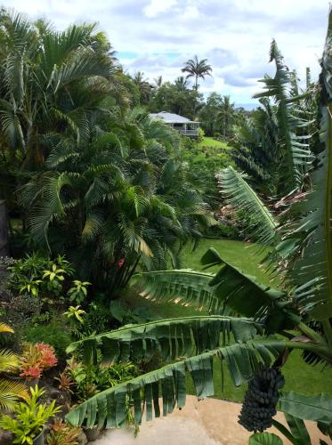 Kalani Hawaii Private Lodging - photo 140