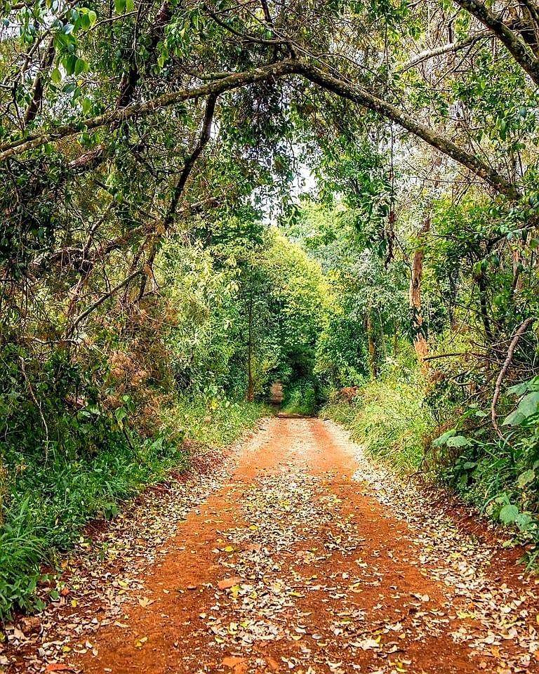 Windsor running and cycling trail sep