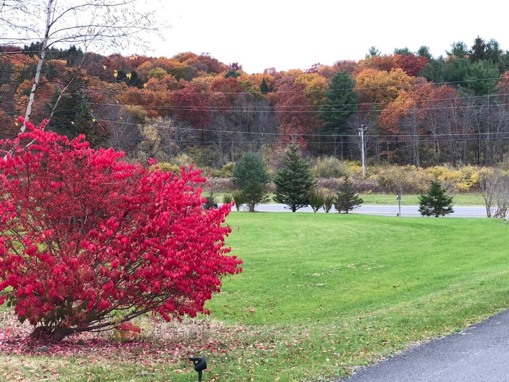 Elm Tree Motel - photo 18
