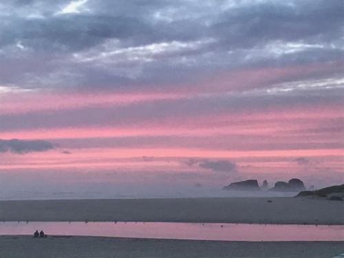 Webb's Scenic Surf - photo 11