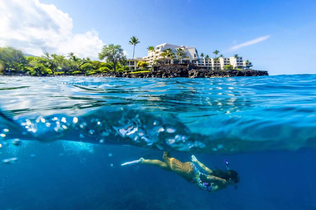 Outrigger Kona Resort & Spa - photo 39