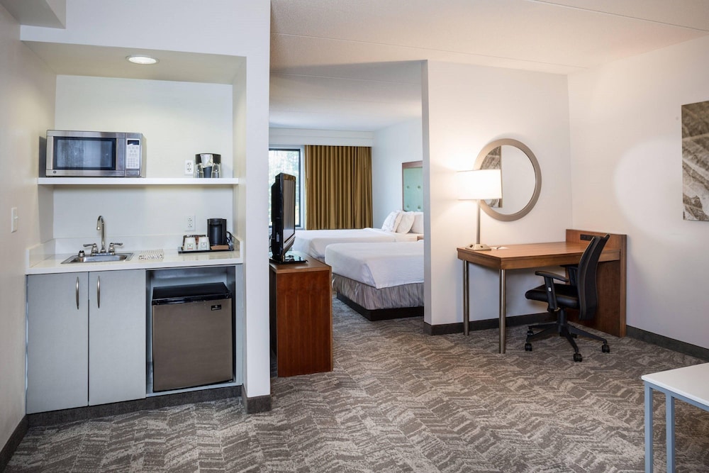 Springhill Suites by Marriott Hampton Coliseum - photo 10