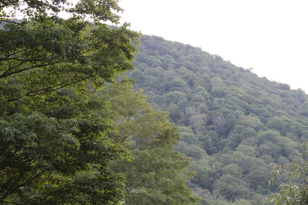 Catskill Seasons Inn - photo 107